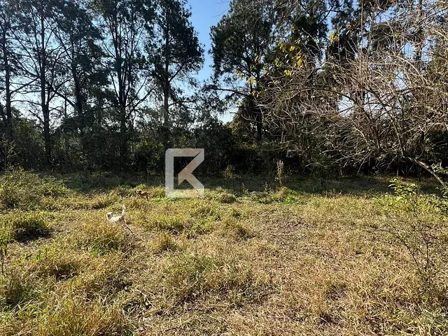 Terreno com 20000m², à venda, no bairro Helvétia em Indaiatuba