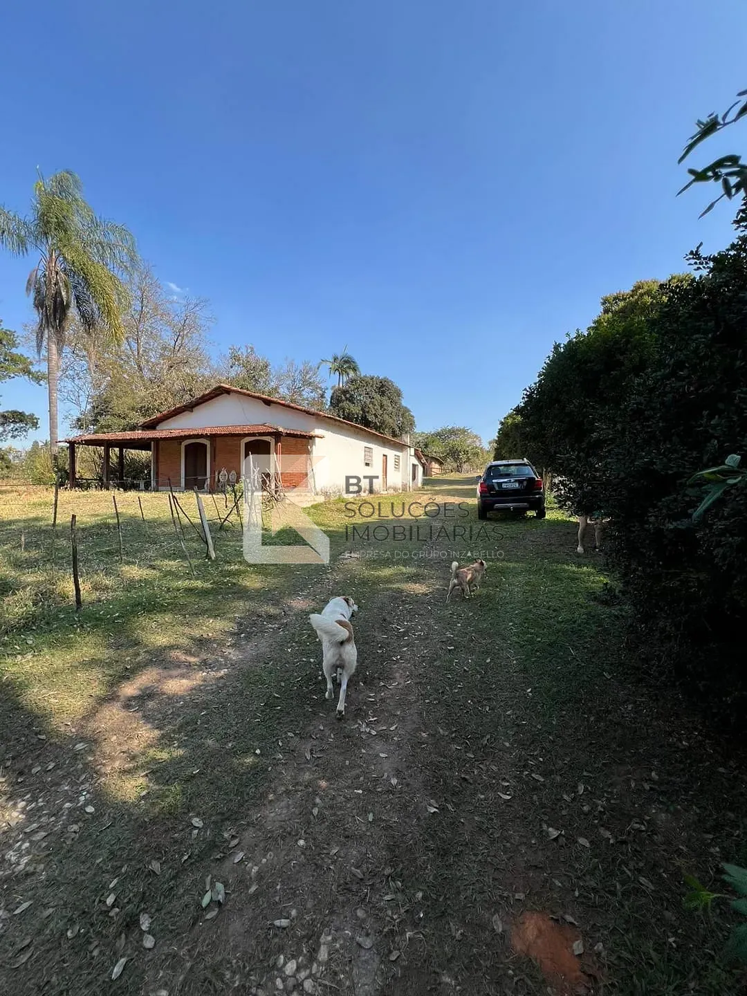 Terreno, 2 hectares - Foto 14