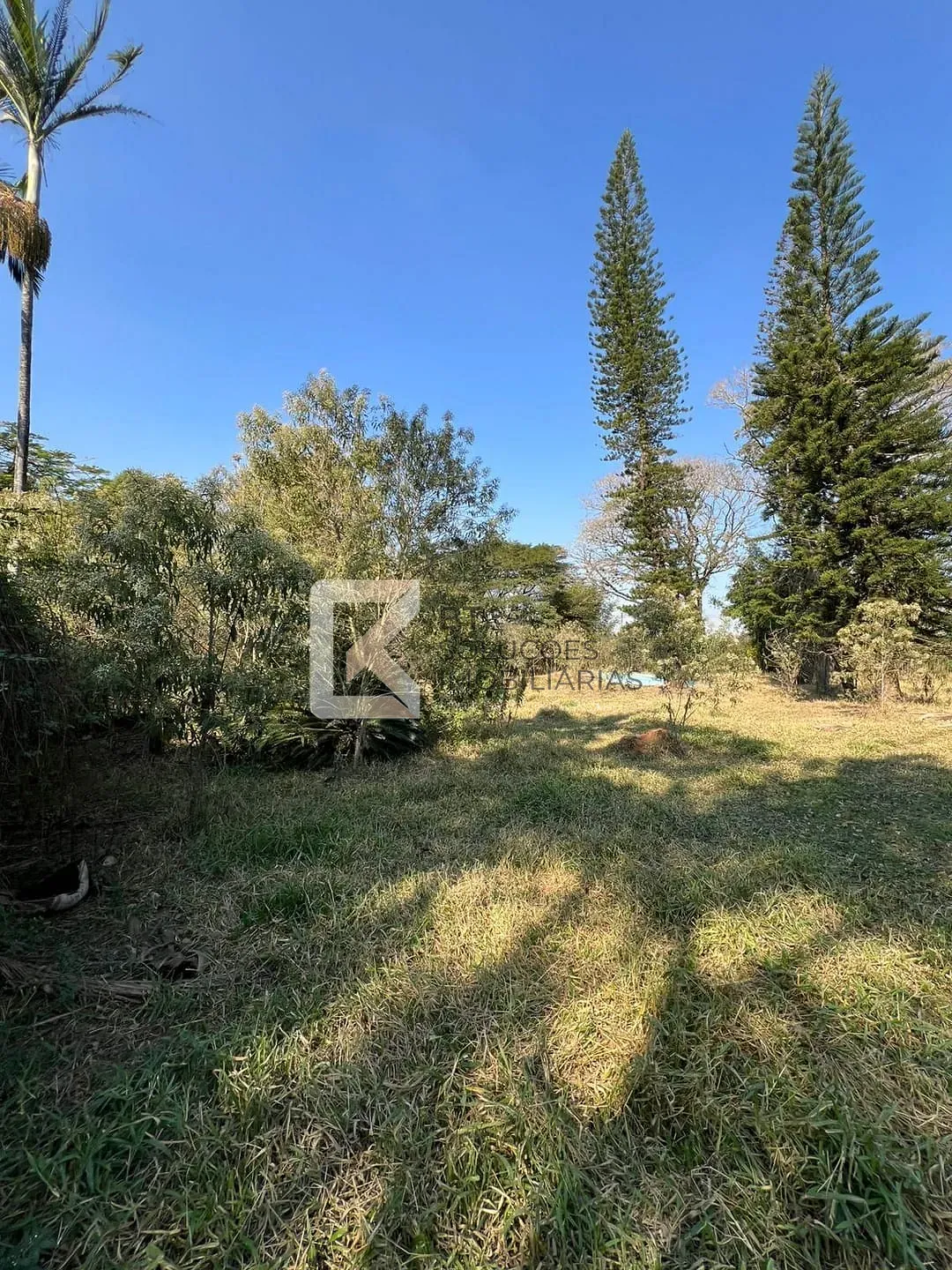Terreno, 2 hectares - Foto 13