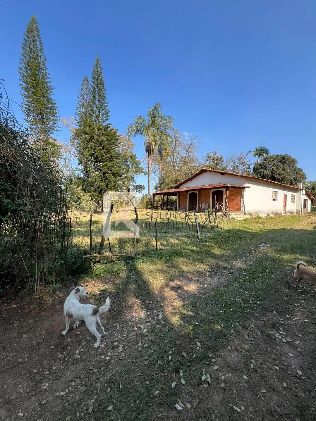 Terreno, 2 hectares - Foto 19