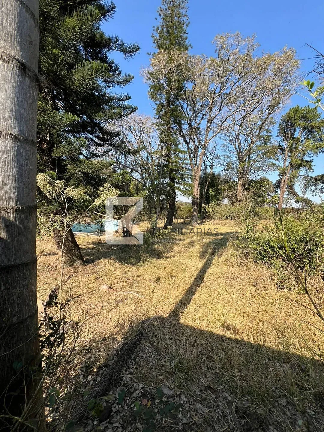 Terreno, 2 hectares - Foto 9