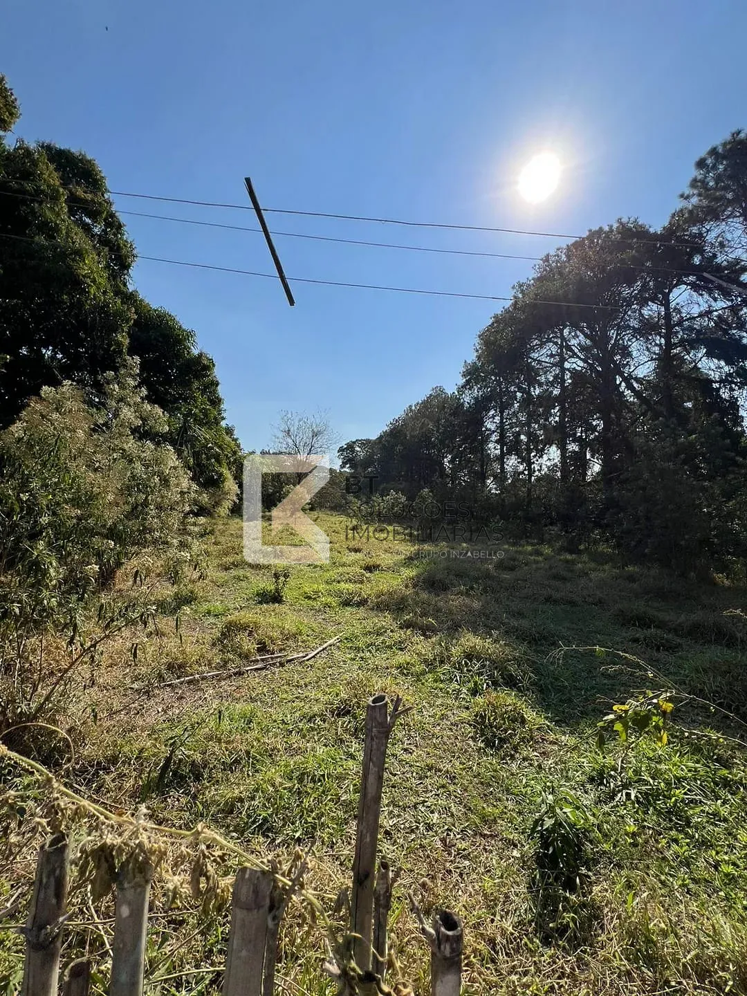 Terreno, 2 hectares - Foto 29
