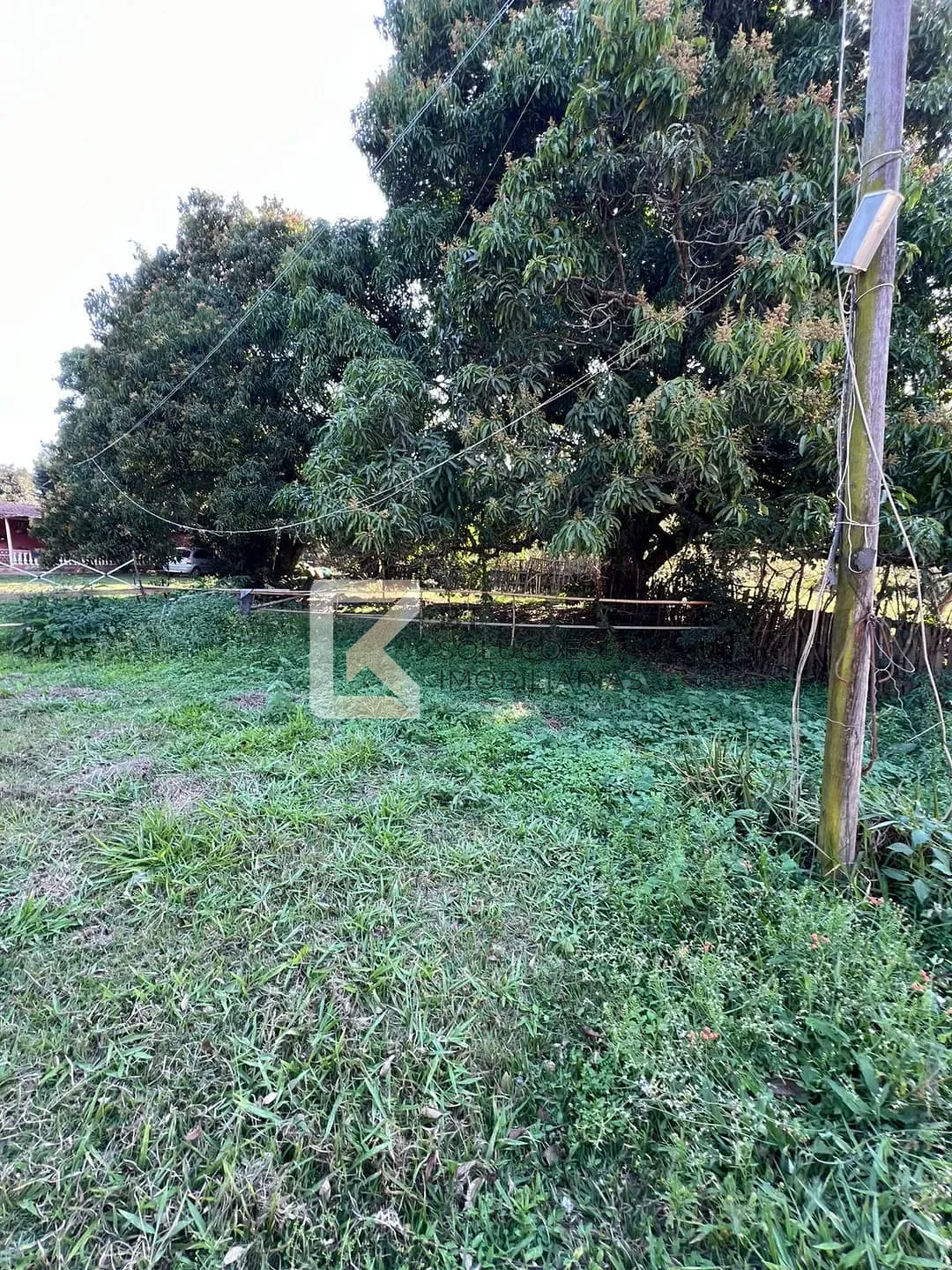 Terreno, 2 hectares - Foto 28