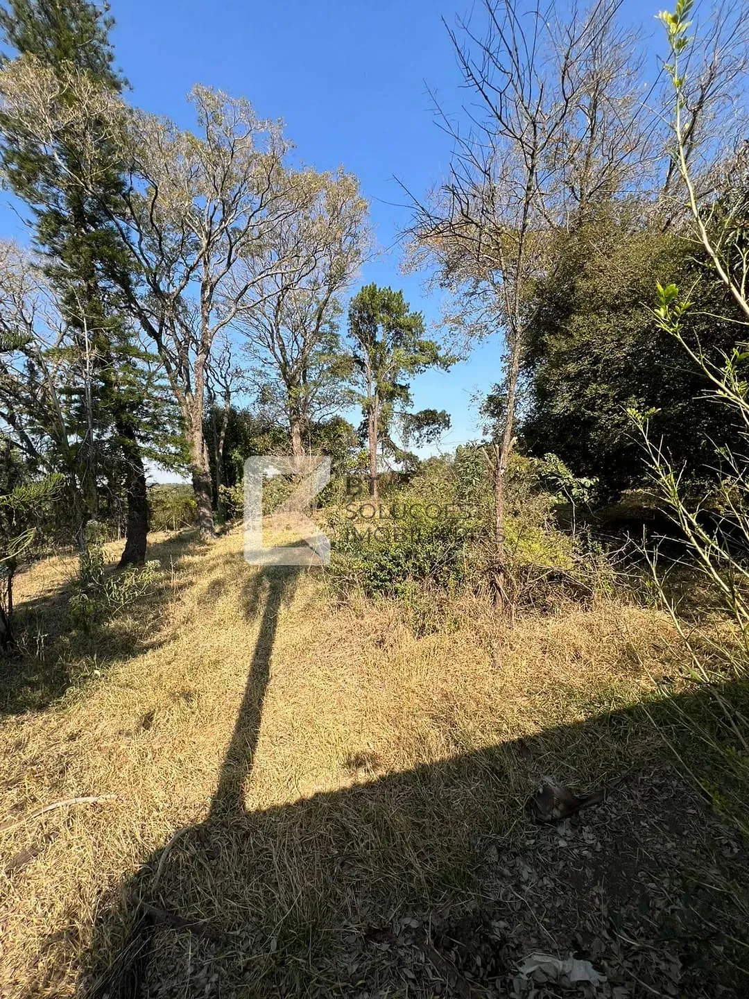 Terreno, 2 hectares - Foto 8