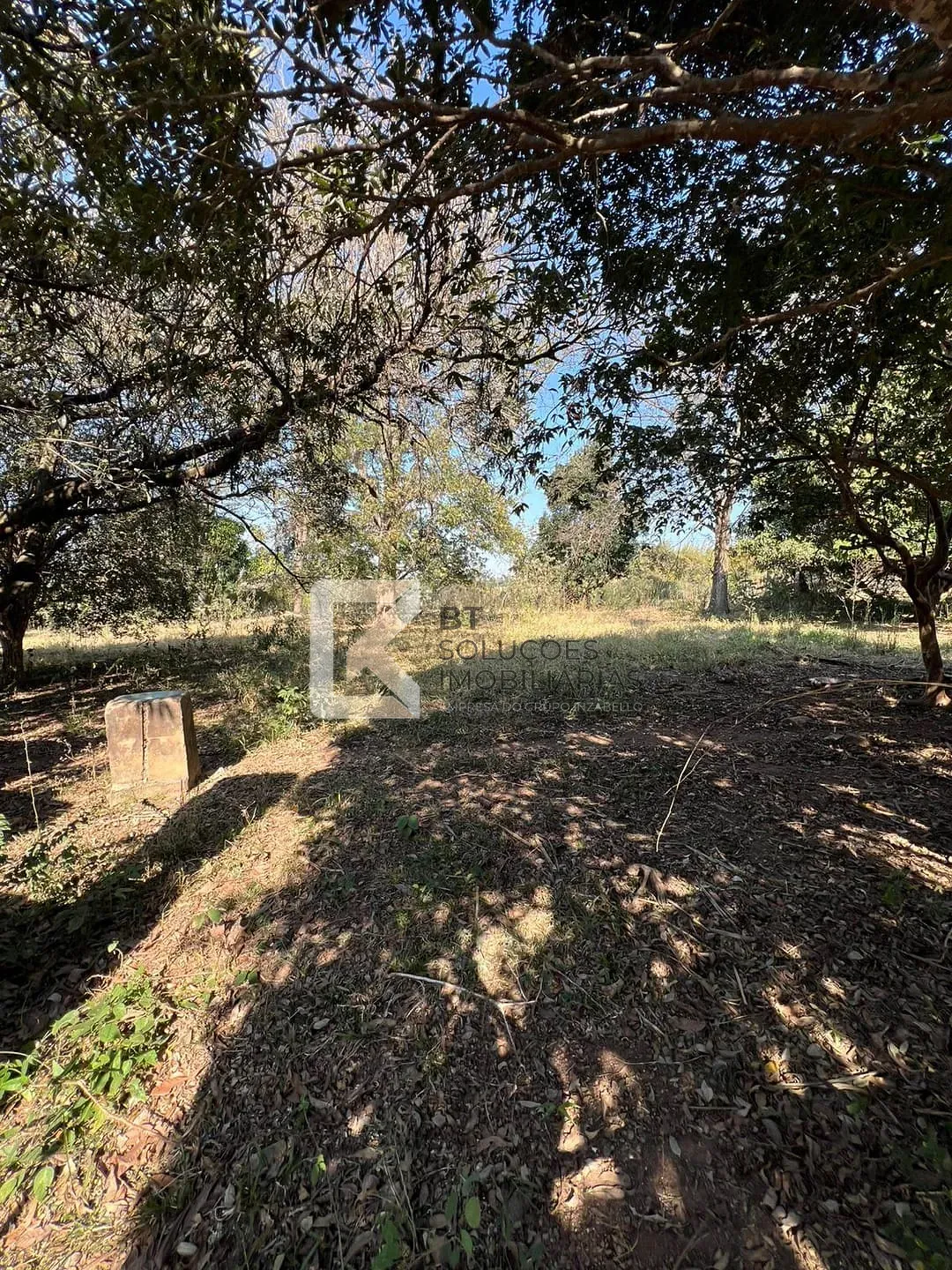 Terreno, 2 hectares - Foto 16