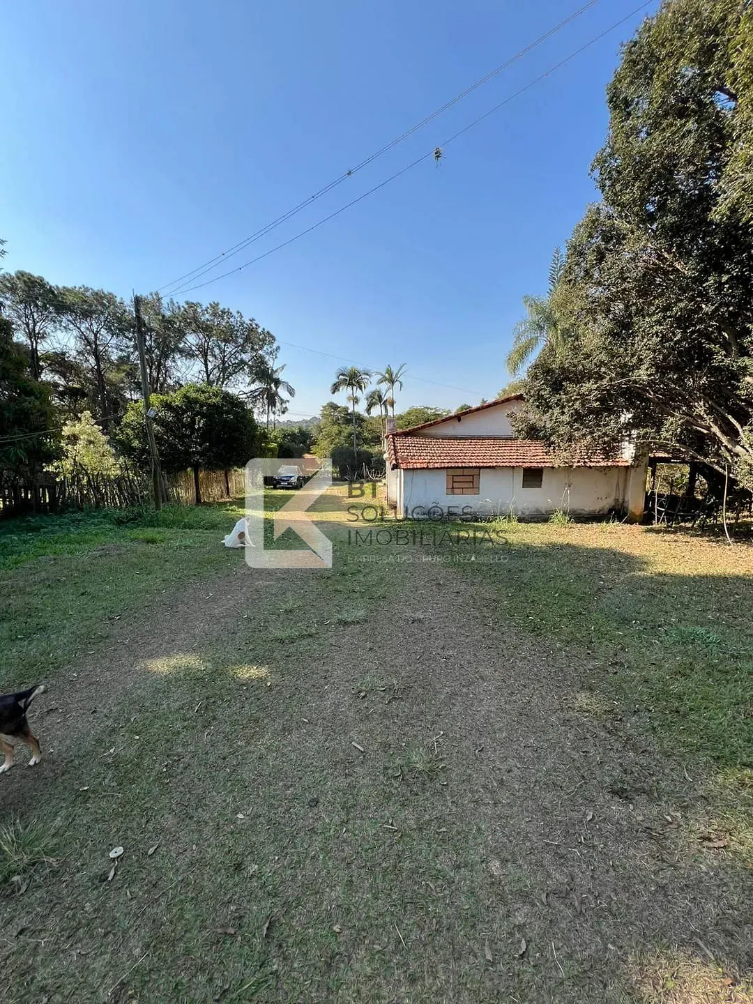 Terreno, 2 hectares - Foto 17