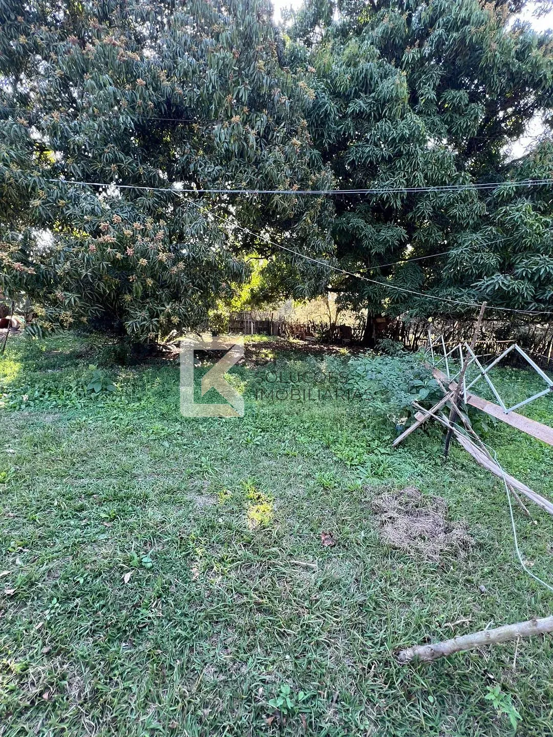 Terreno, 2 hectares - Foto 27