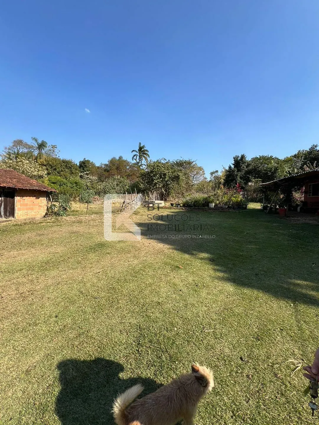 Terreno, 2 hectares - Foto 7