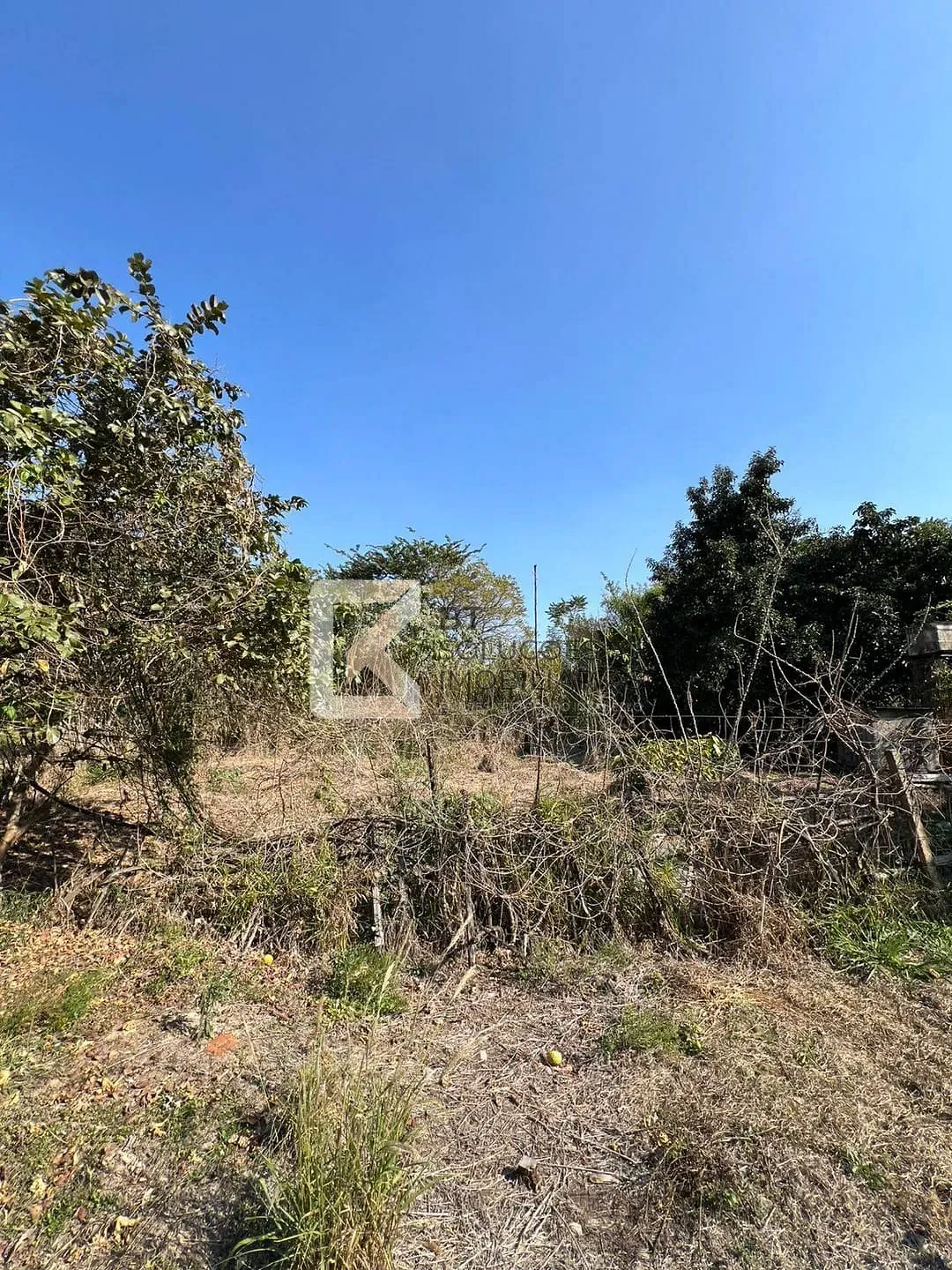 Terreno, 2 hectares - Foto 25