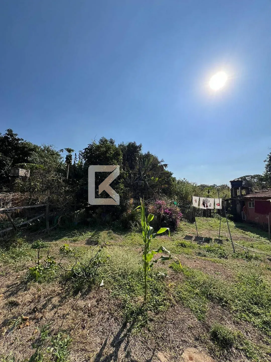 Terreno, 2 hectares - Foto 24