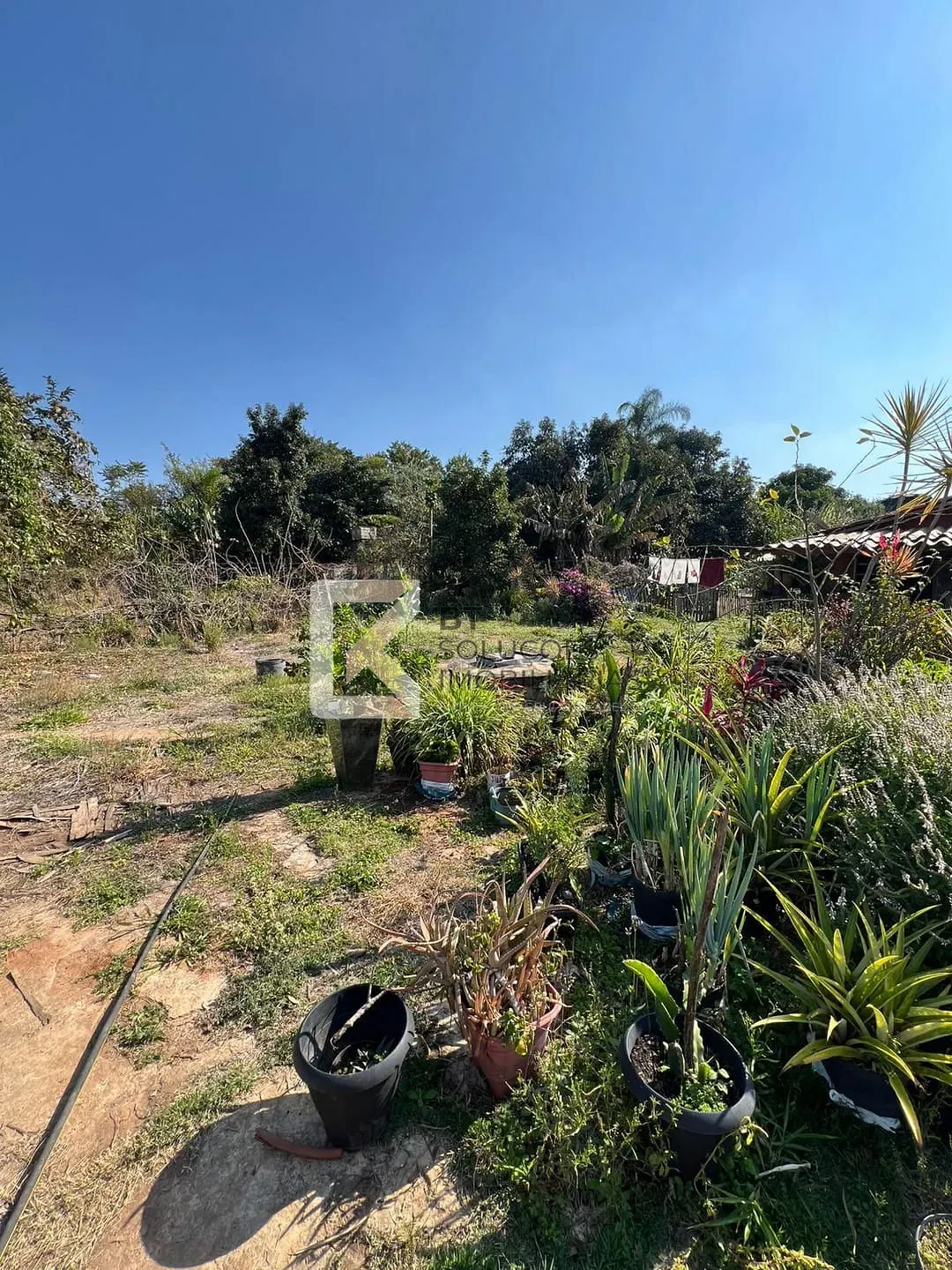 Terreno, 2 hectares - Foto 26