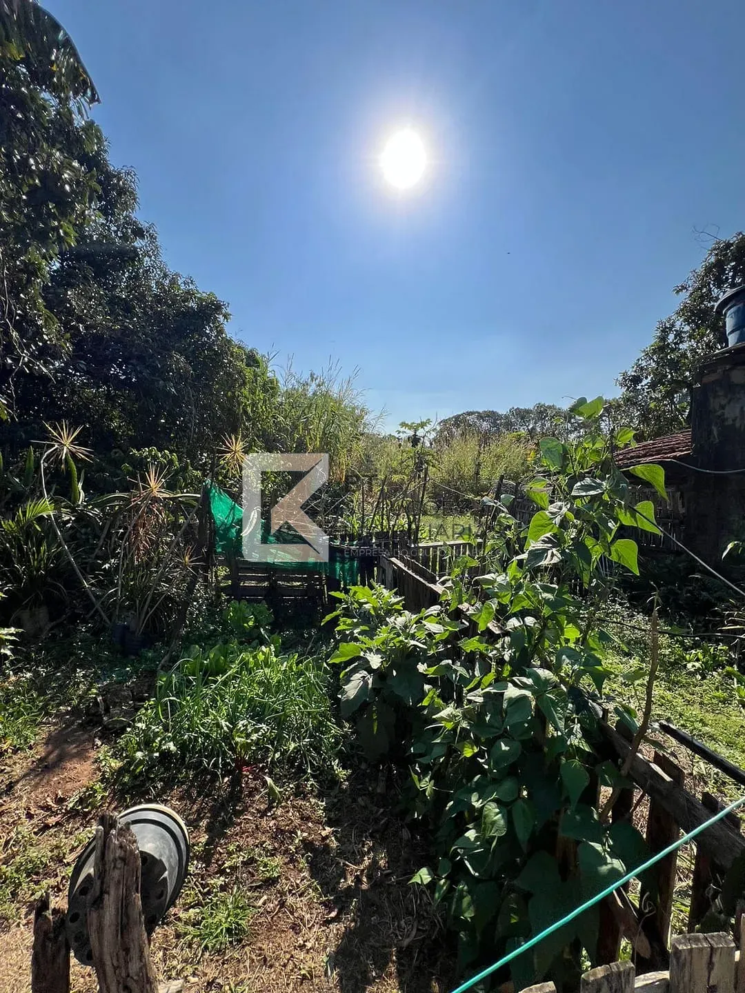 Terreno, 2 hectares - Foto 22