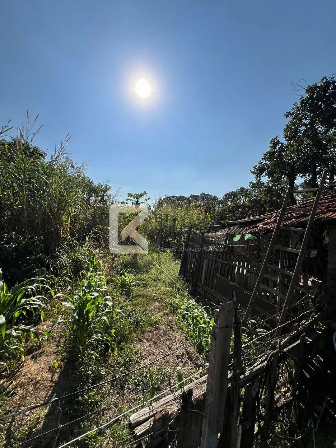 Terreno, 2 hectares - Foto 21