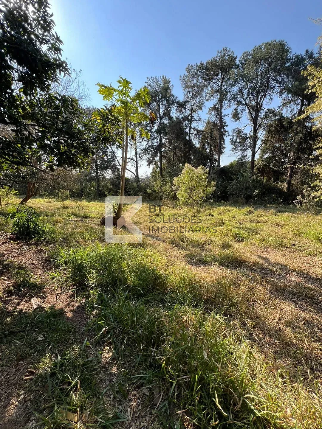 Terreno, 2 hectares - Foto 4