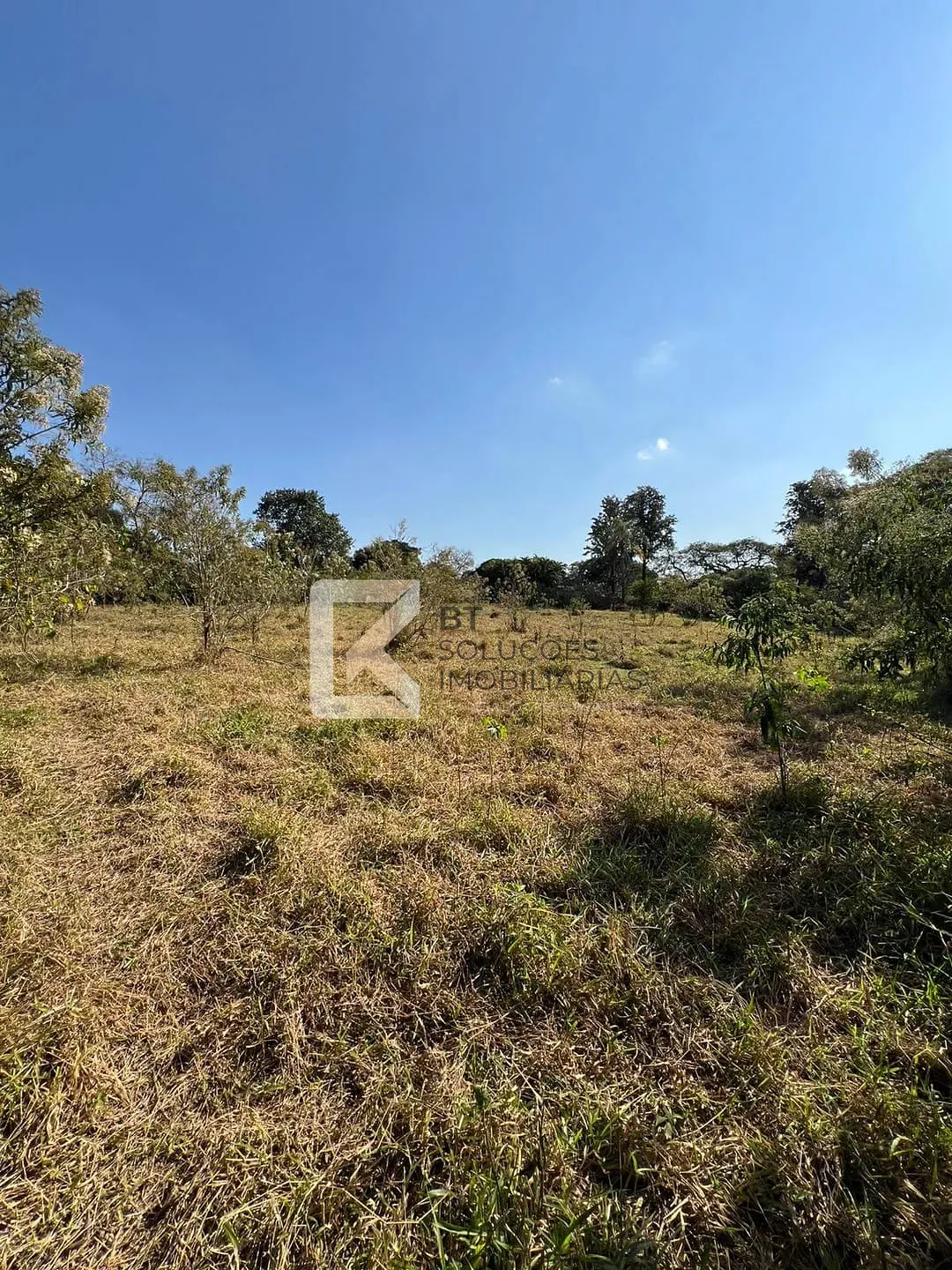 Terreno, 2 hectares - Foto 2