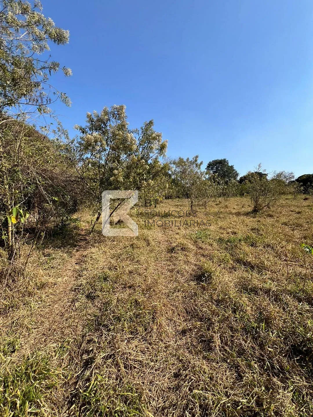 Terreno, 2 hectares - Foto 1