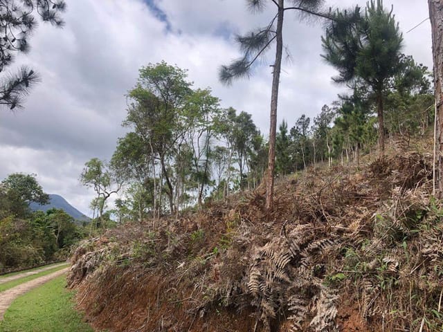 Terreno com 15095m², à venda, no bairro Cuiabá em Petrópolis