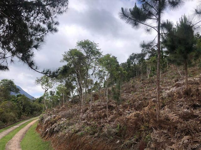 Terreno com 15095m², à venda, no bairro Cuiabá em Petrópolis