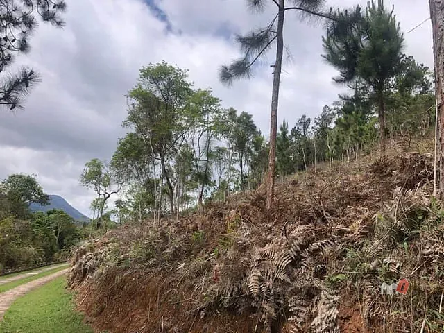 Terreno com 15095m², à venda, no bairro Cuiabá em Petrópolis