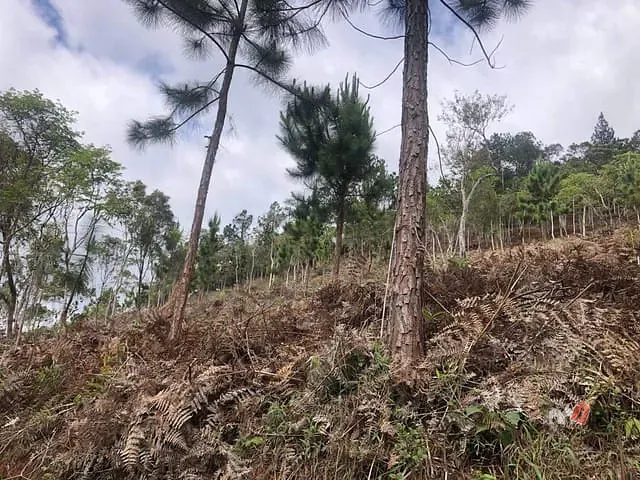 Terreno com 15095m², à venda, no bairro Cuiabá em Petrópolis