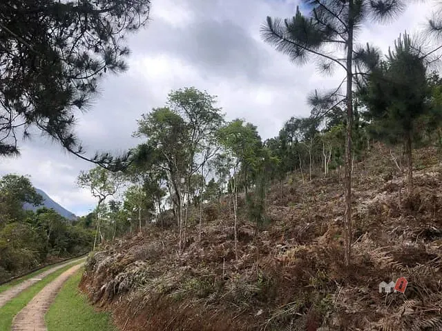 Terreno com 15095m², à venda, no bairro Cuiabá em Petrópolis