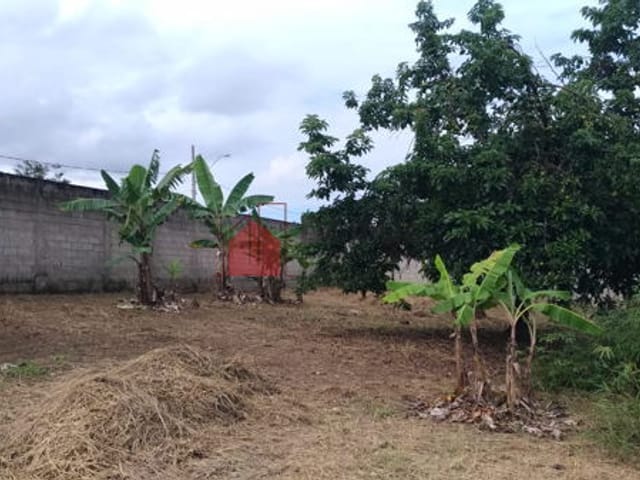 Terreno com 500m², à venda, no bairro Parque Shangrilá em Pindamonhangaba