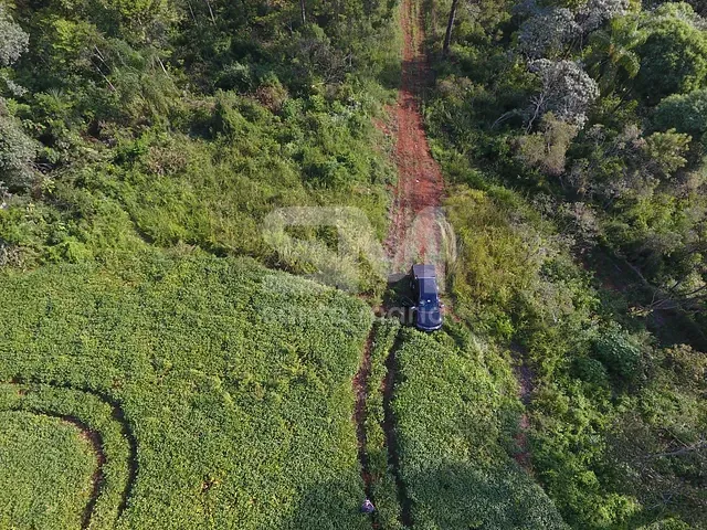Terreno com 44899m², à venda, no bairro Santa Paulina em Chapecó