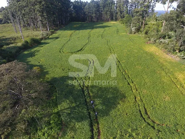 Terreno com 44899m², à venda, no bairro Santa Paulina em Chapecó