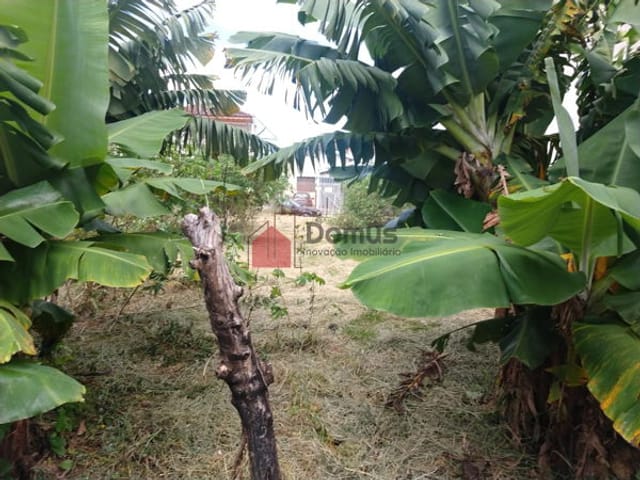 Terreno com 250m², à venda, no bairro Tremembé em São Paulo