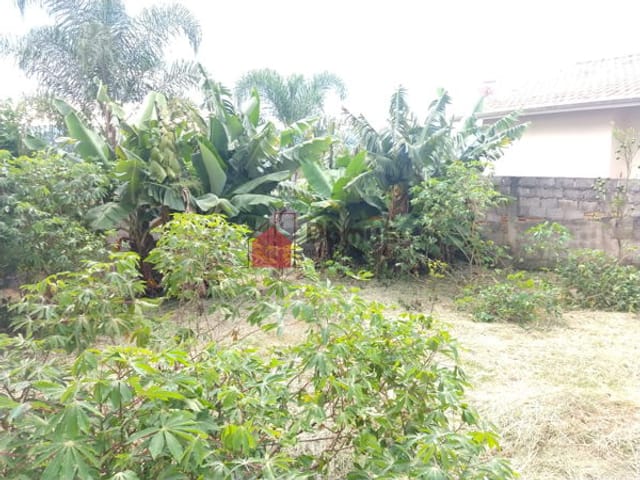 Terreno com 250m², à venda, no bairro Tremembé em São Paulo