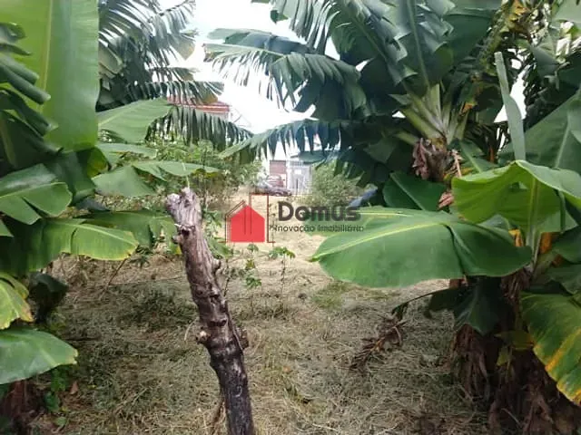 Terreno com 250m², à venda, no bairro Tremembé em São Paulo
