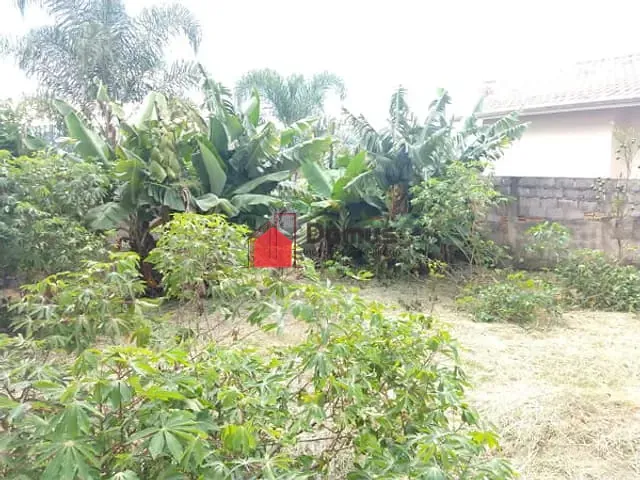 Terreno com 250m², à venda, no bairro Tremembé em São Paulo