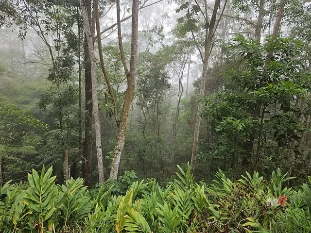 Terreno com 2233m², à venda, no bairro Quarteirão Ingelheim em Petrópolis