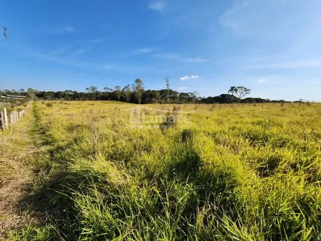Terreno com 32000m², à venda, no bairro Biritiba Ussu em Mogi das Cruzes