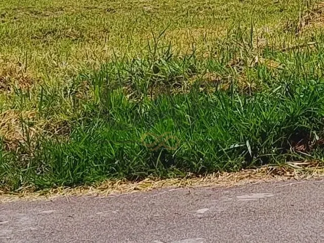 Terreno com 300m², à venda, no bairro Nova Jaguariúna III em Jaguariúna