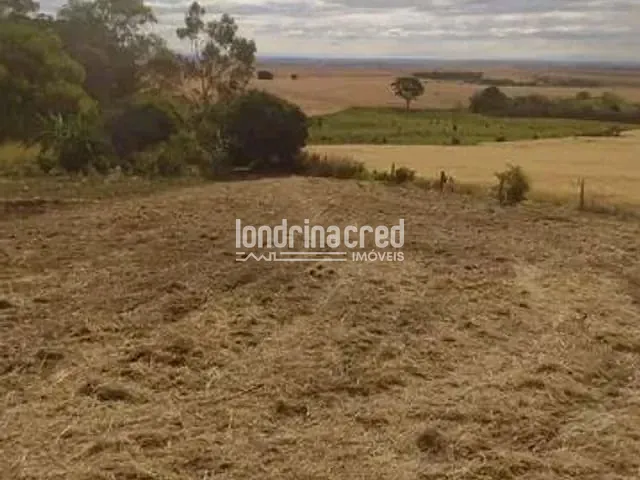 Terreno com 1200m², à venda, no bairro Warta em Londrina