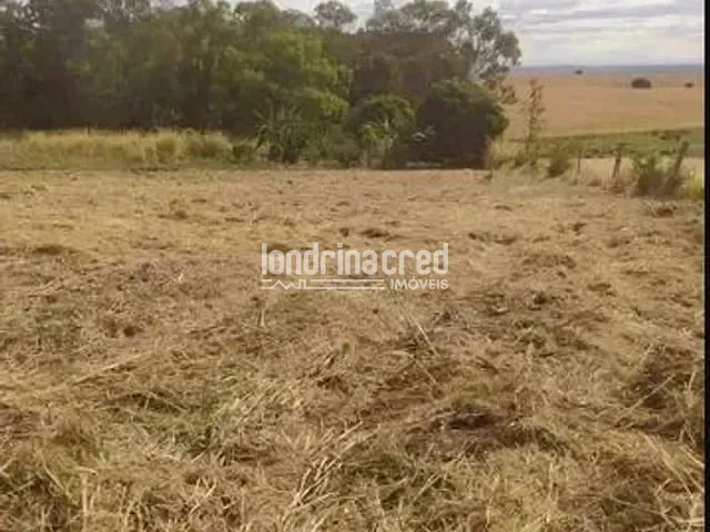Terreno com 1200m², à venda, no bairro Warta em Londrina