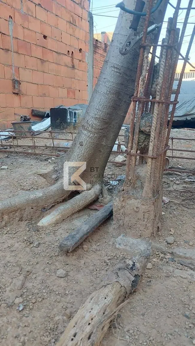 Terreno, 150 m² - Foto 5