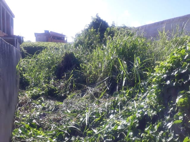 Terreno com 243m², à venda, no bairro Goitacazes em Campos dos Goytacazes