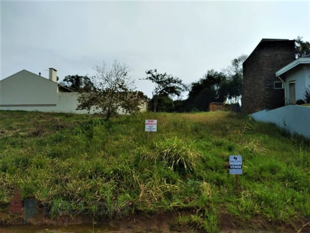 Foto do Terreno - Terreno à venda 555.11M², Bela Vista, Arroio do Meio - RS | Executivo Imóveis