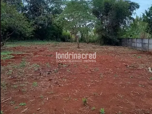 Terreno com 2640m², à venda, no bairro Vila Passos em Arapongas