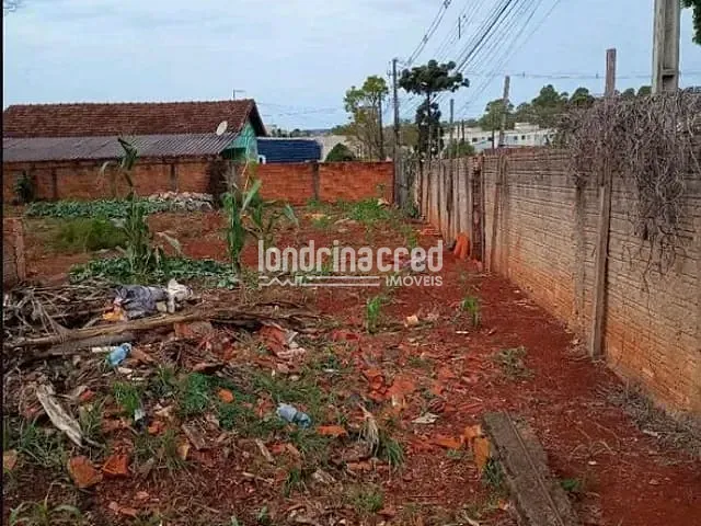 Terreno com 2640m², à venda, no bairro Vila Passos em Arapongas