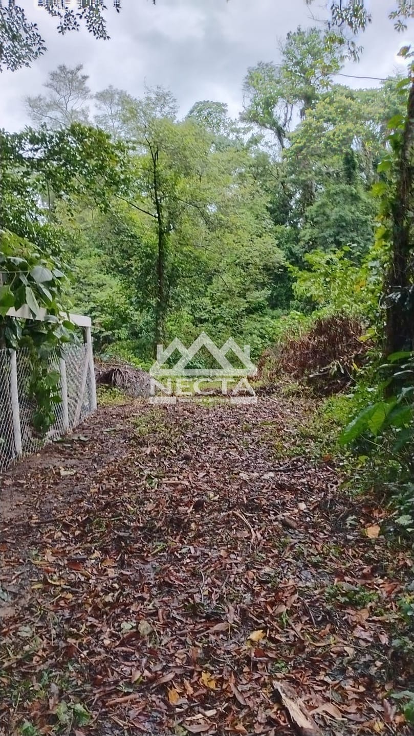 Terreno, 1642 m² - Foto 5