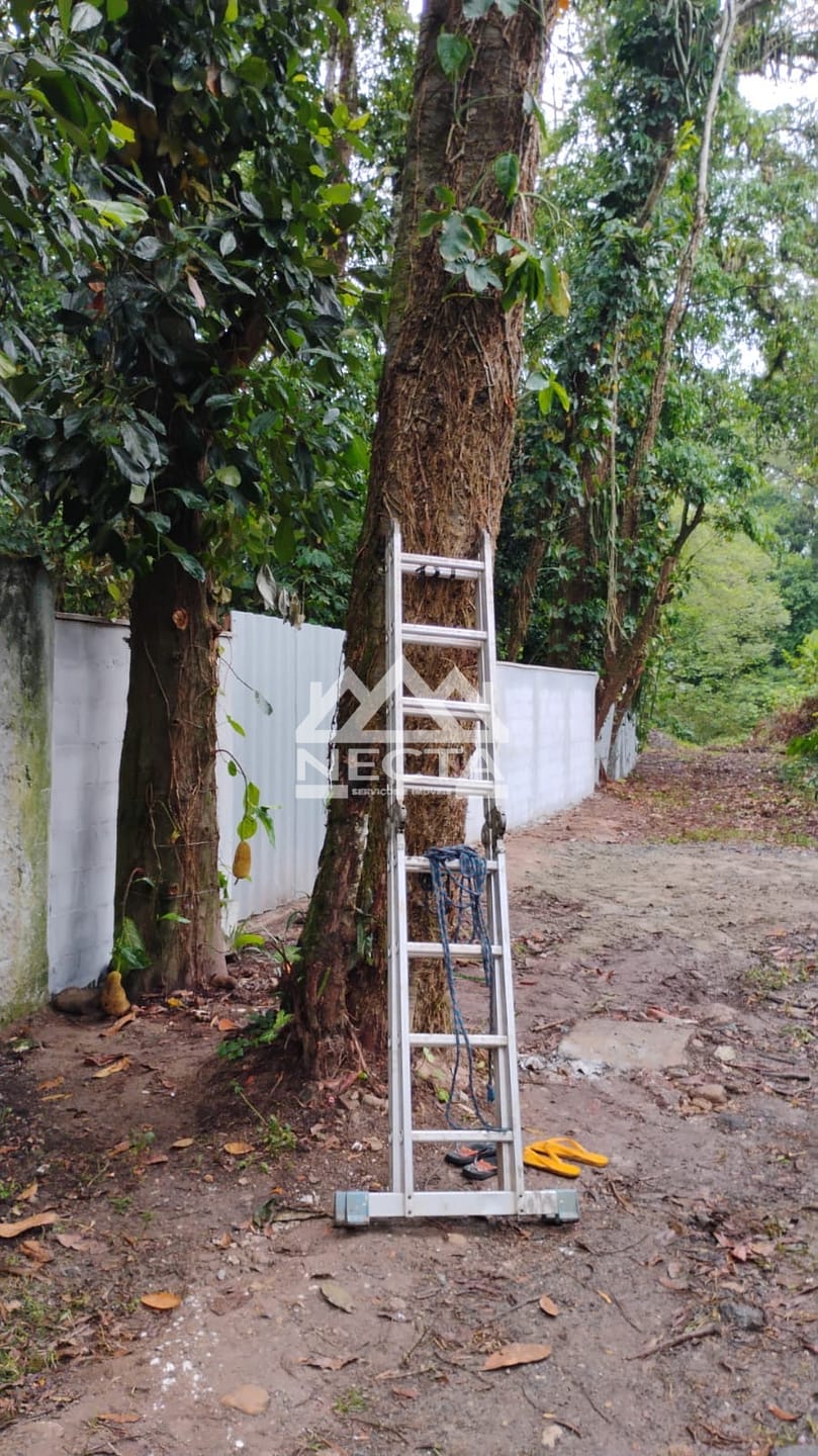 Terreno, 1642 m² - Foto 15