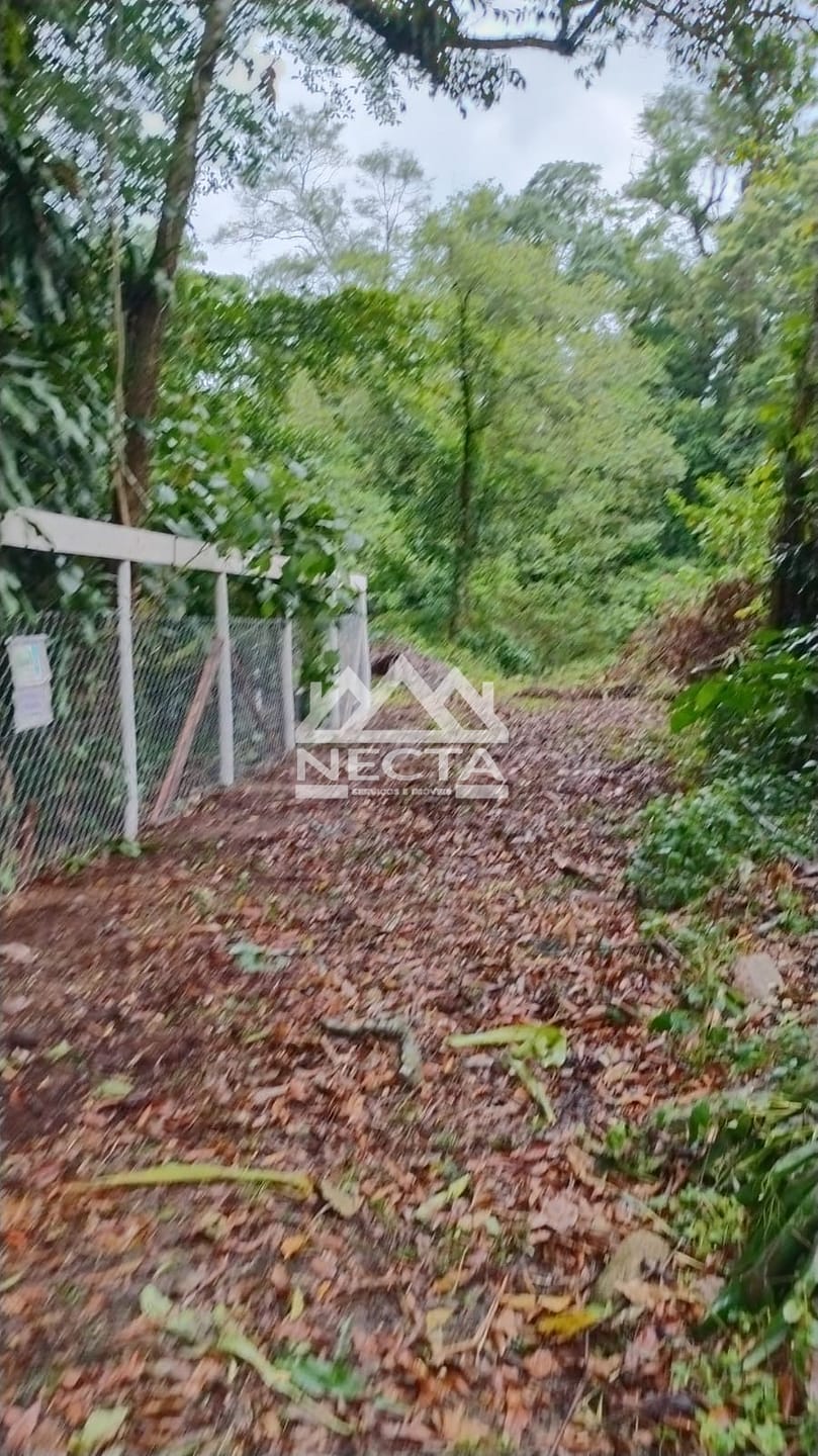 Terreno, 1642 m² - Foto 6