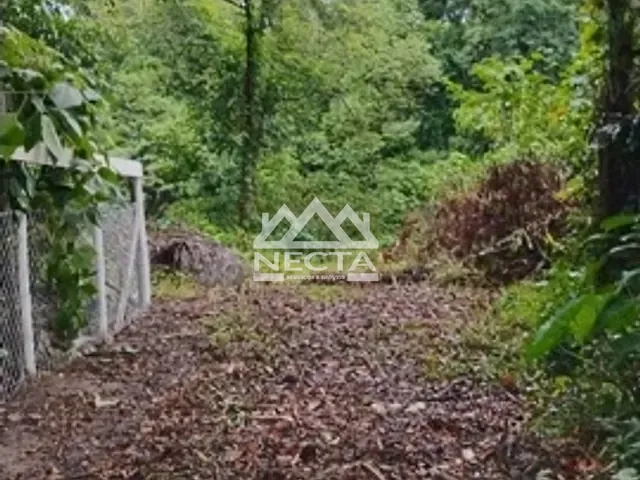Terreno com 1642m², à venda, no bairro Boiçucanga em São Sebastião