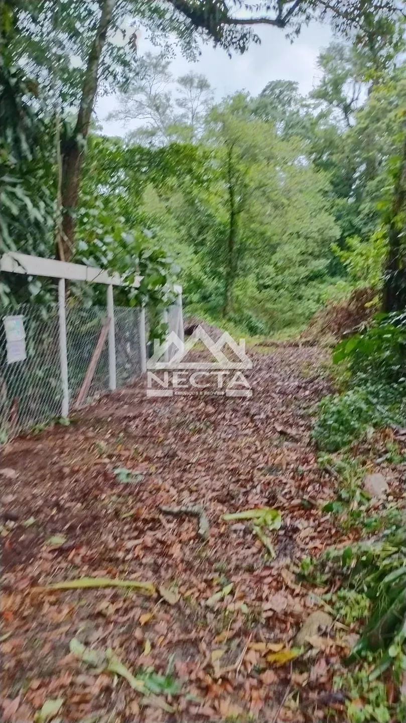 Terreno, 1642 m² - Foto 6
