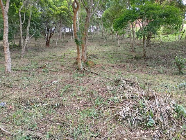 Terreno com 4500m², à venda, no bairro Araras em Petrópolis
