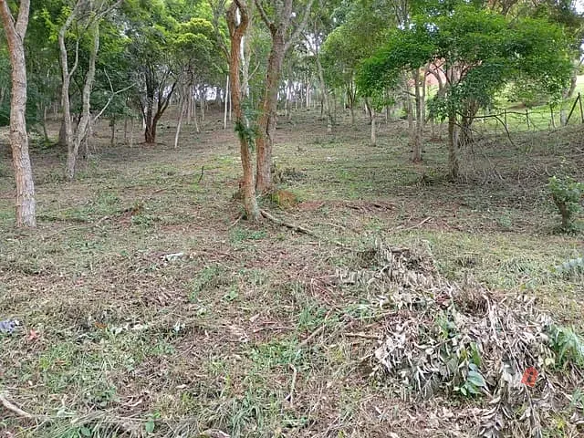 Terreno com 4500m², à venda, no bairro Araras em Petrópolis