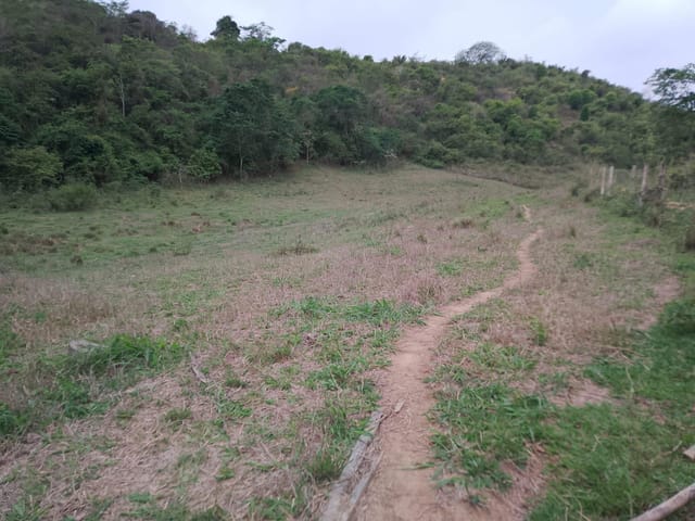 Terreno com 96800m², à venda, no bairro Morro do Côco em Campos dos Goytacazes